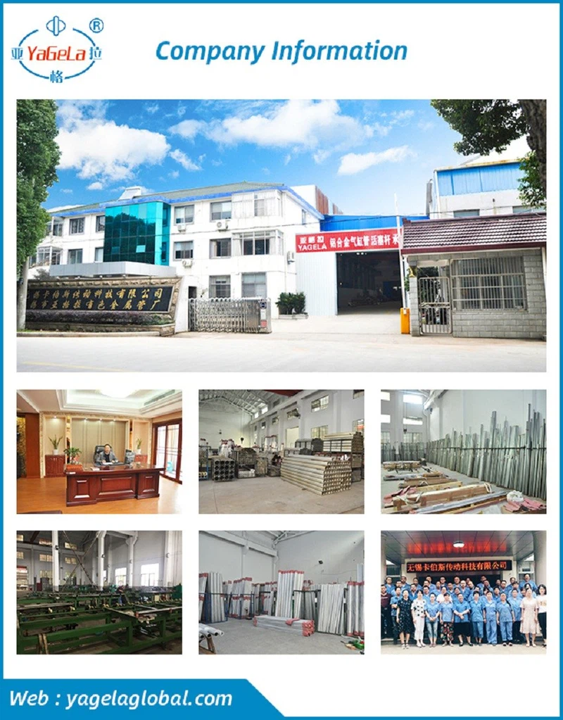 product-850-1087 product-850-1087